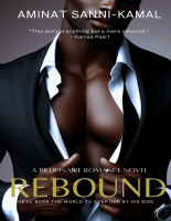 Rebound_-_Aminat_Sanni.pdf